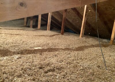 Attic Insulation